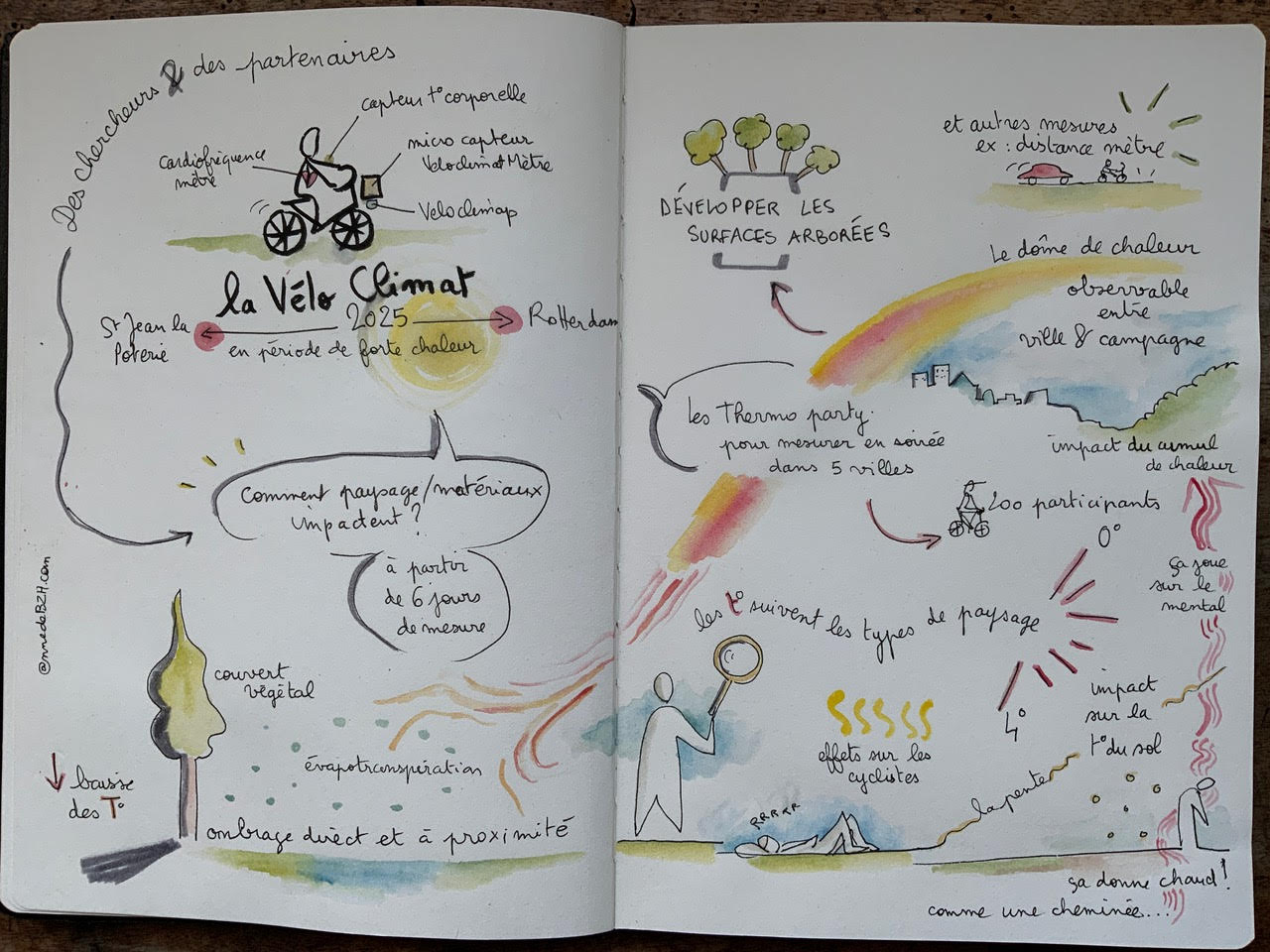 Anne Guerin notes dessinées